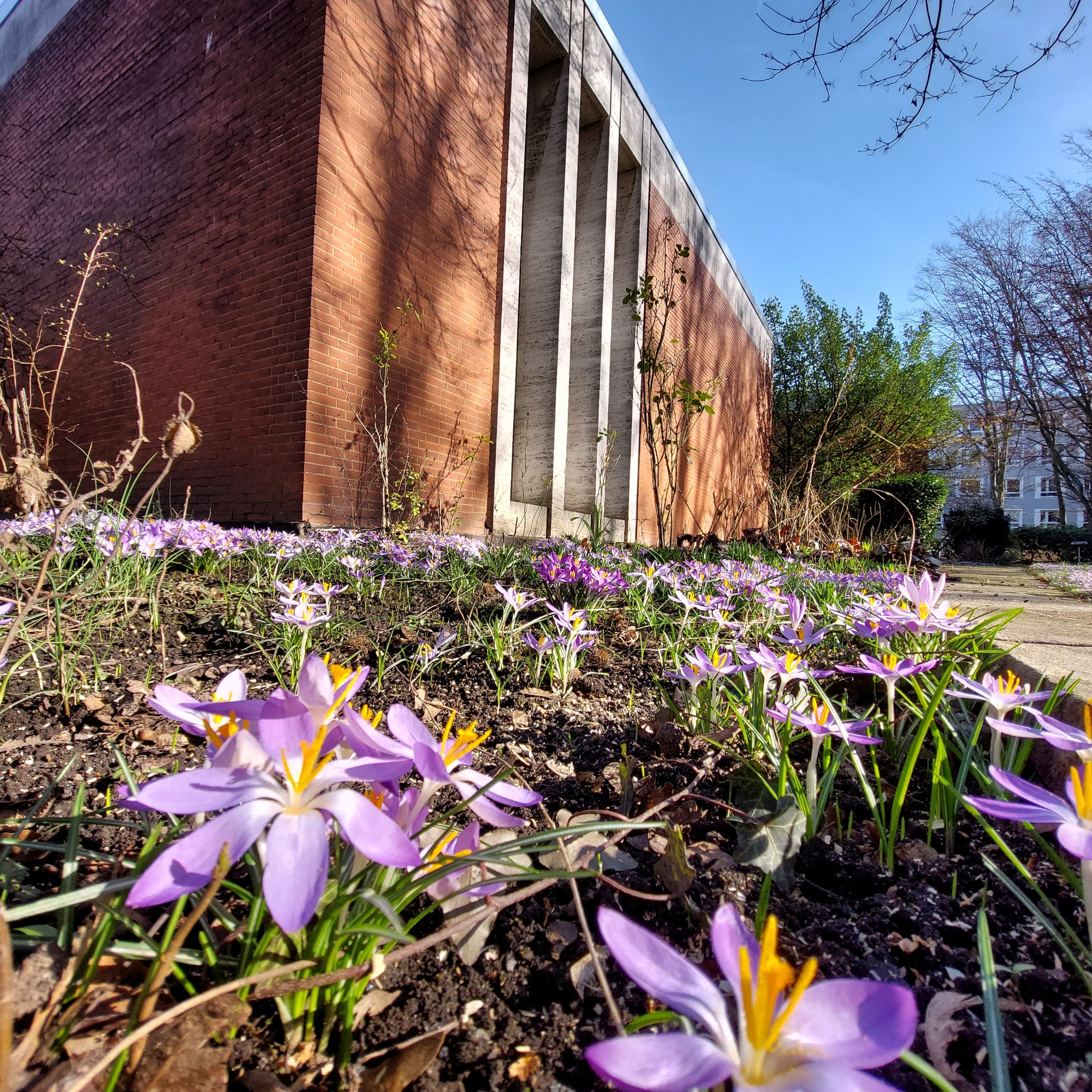 IMG_20230215_225534_568