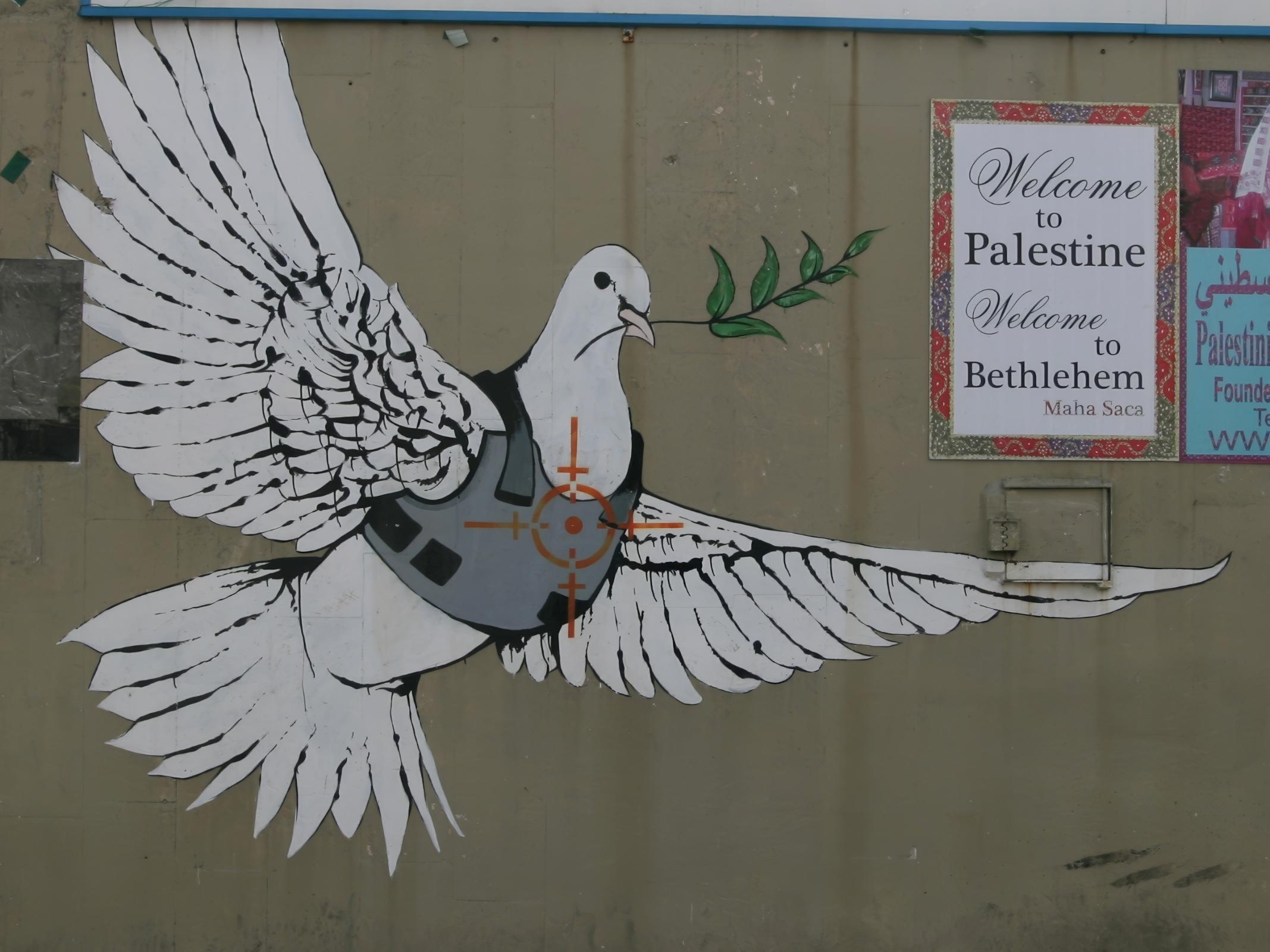 Wandgemälde: eine weiße Taube in einer kugelsicheren Weste mit einem Olivenzweig, gemalt auf einer Souvenirladenwand.