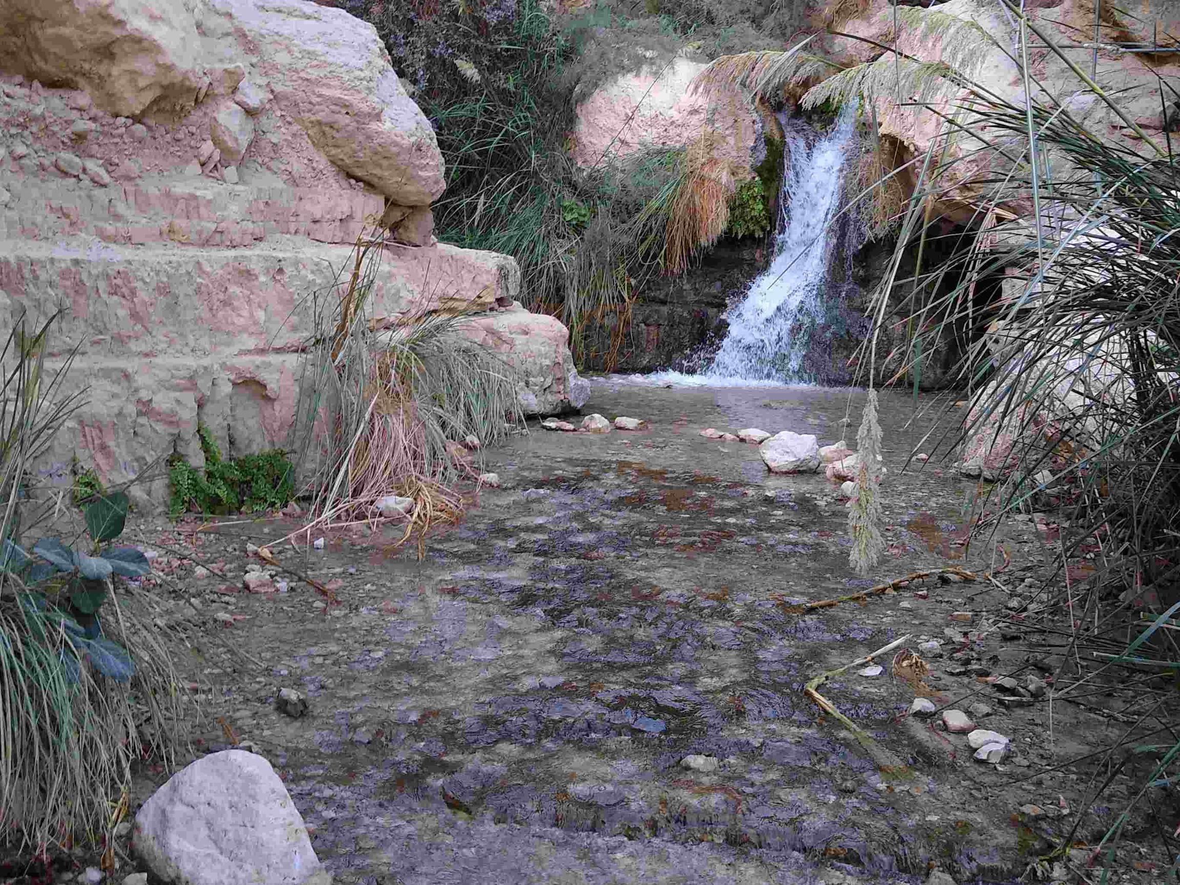 Wasserquelle En Gedi, eine Wüstenoase im Süden Israels