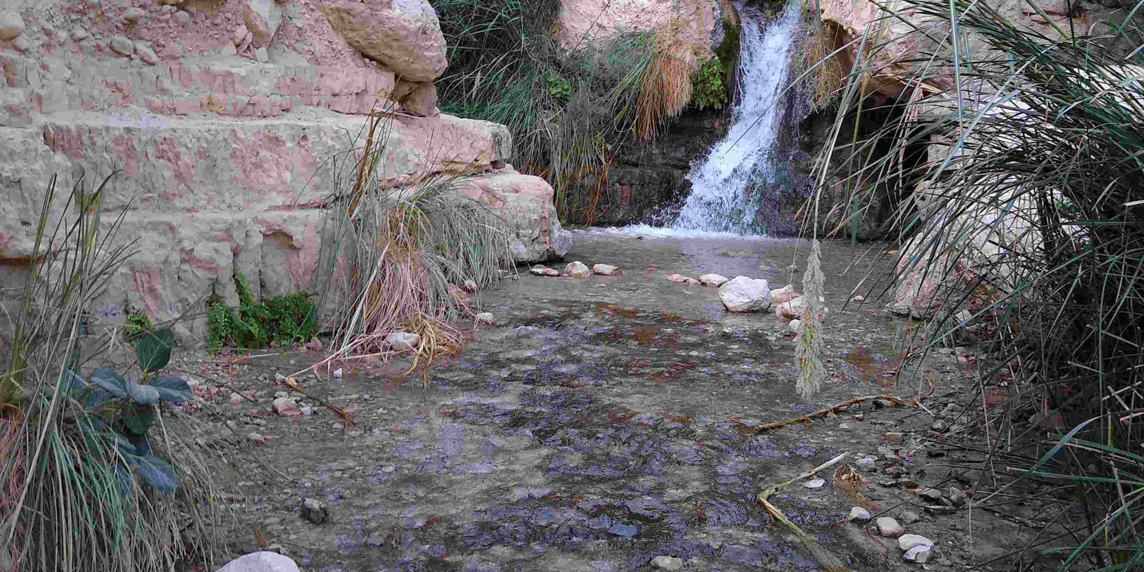 Wasserquelle En Gedi, eine Wüstenoase im Süden Israels