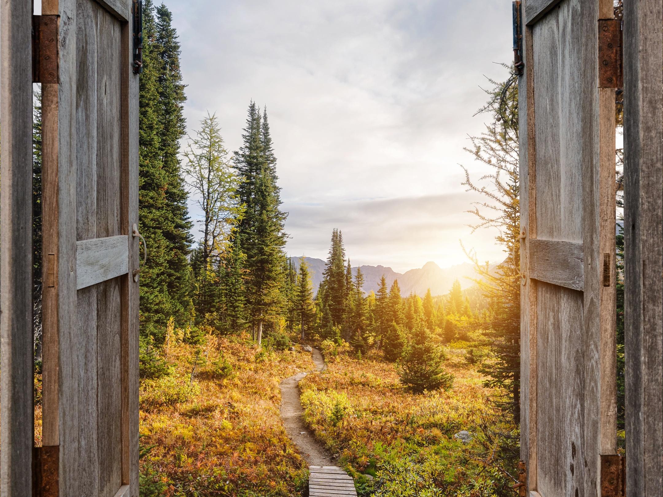 Blick aus einem Holzfenster auf einen Weg durch die Natur