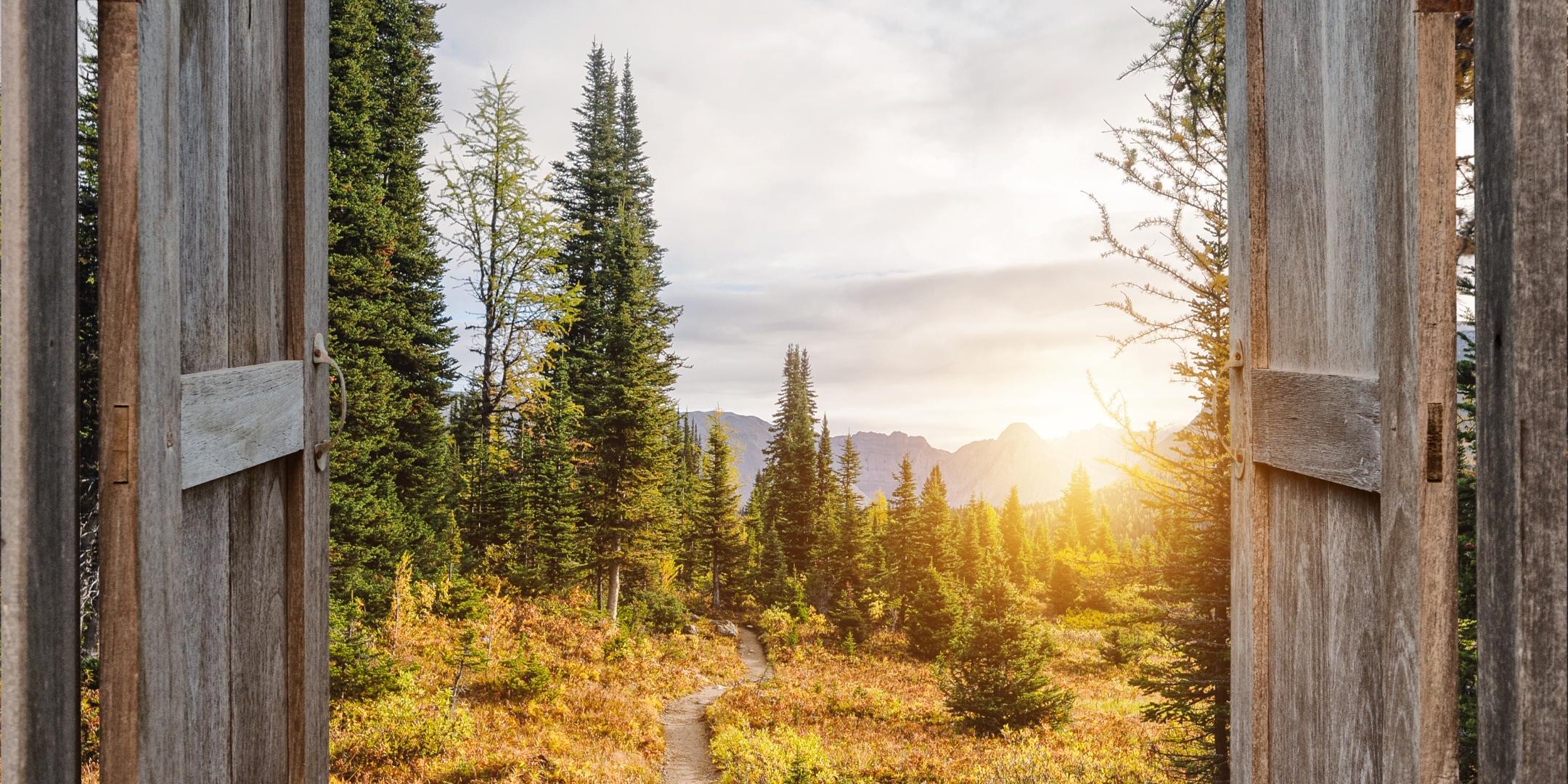 Blick aus einem Holzfenster auf einen Weg durch die Natur