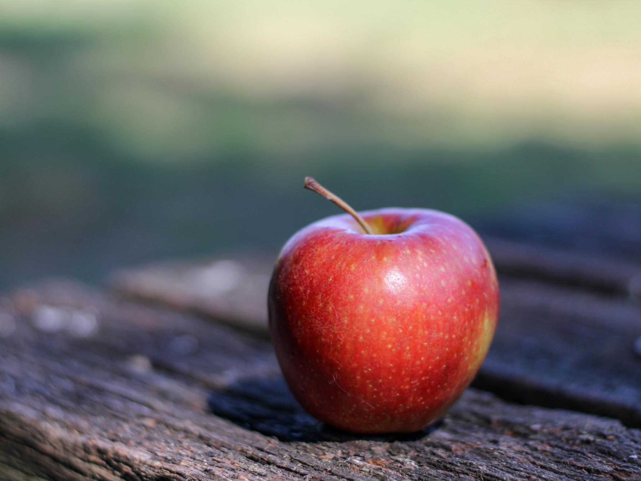 Ein Apfel auf einem Holzsteg.