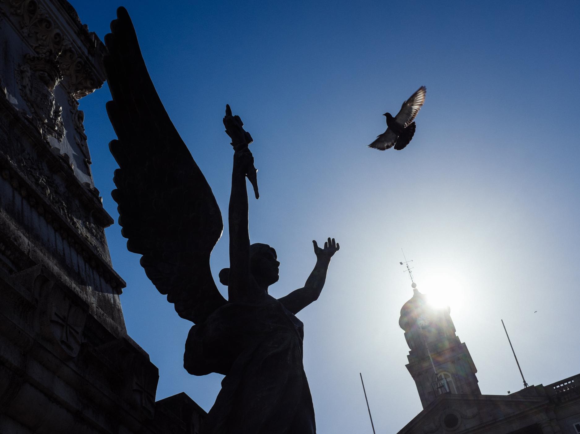 Kirche in Porto, eine Engelstatue mit erhobenen Armen ist vor dem Himmel fotografiert, sodass es so wirkt, als habe der Engel gerade die Taube losgeschickt, die darüber fliegt. .