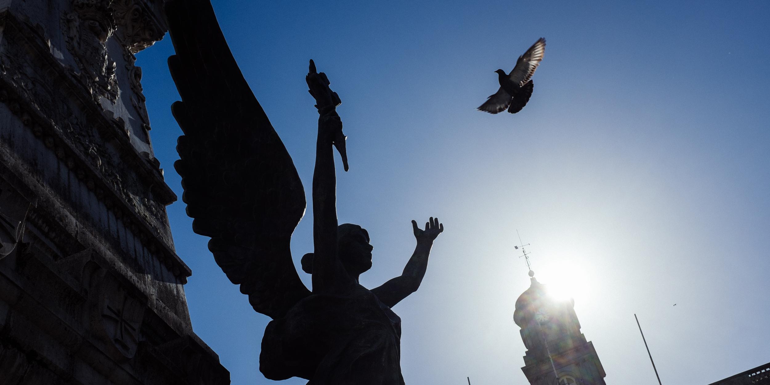 Kirche in Porto, eine Engelstatue mit erhobenen Armen ist vor dem Himmel fotografiert, sodass es so wirkt, als habe der Engel gerade die Taube losgeschickt, die darüber fliegt. .