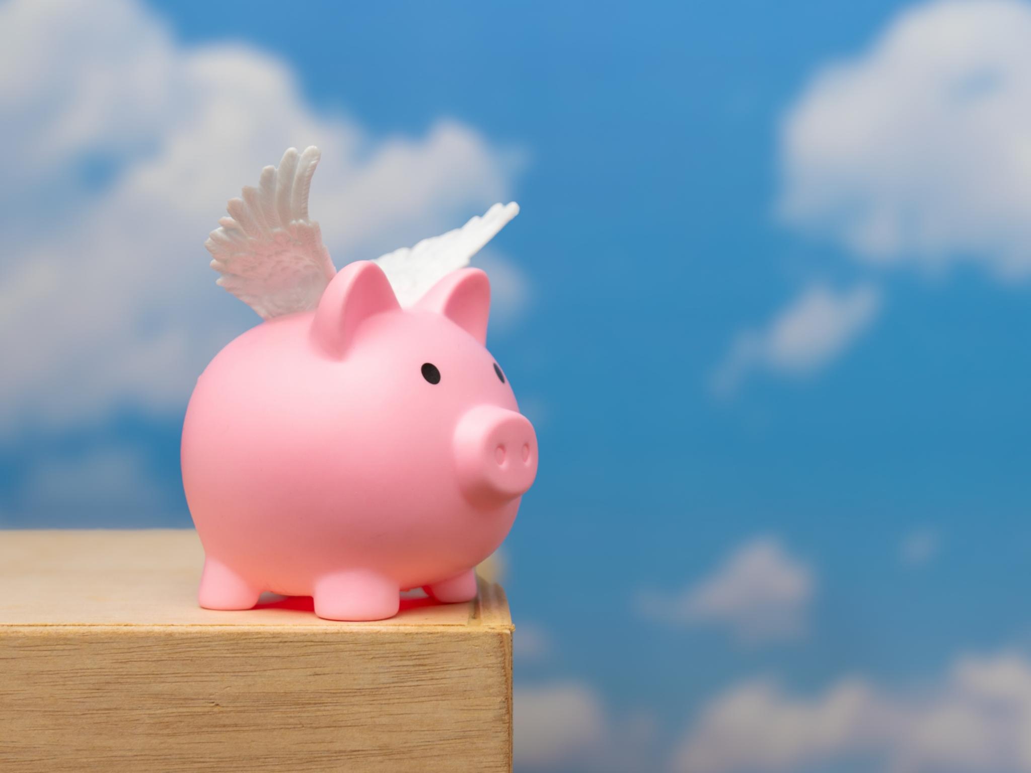 Ein Sparschwein mit Flügeln auf dem Rücken steht auf einem Holzbrett, dahinter der weite Himmel.